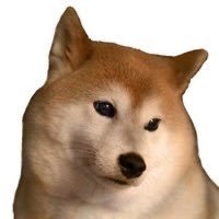 ___3hm's profile picture. 