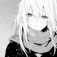 zdntc37872567's profile picture. 
