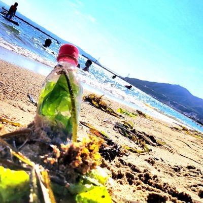 KeijiY1372824's profile picture. (自称)ジャッカル上手い人