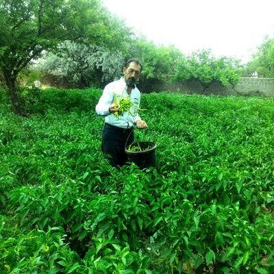 SalimGl50's profile picture. Bir ev modeli oluşturduk.
#bahçelimüstakilev
#üreten ve #doyuran ev.