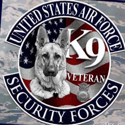 Veteran with some common sense that wonders how some people are able to get their pants on in the morning, let alone function in life. 🚫Porn, 🚫DM’s 🚫bots