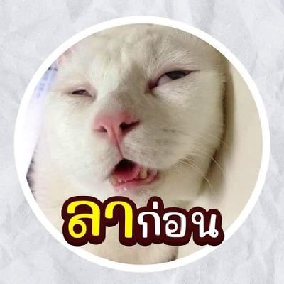 นัดทักมาได้ ผช คับ ชอบผู้หญิง🤤😋❤️