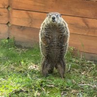 SpaceyChef (@spaceychef) 's Twitter Profile
