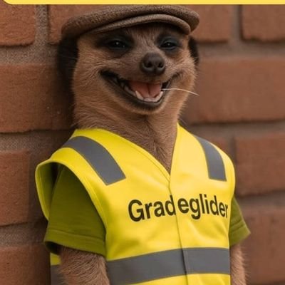 gradeglider's profile picture. 