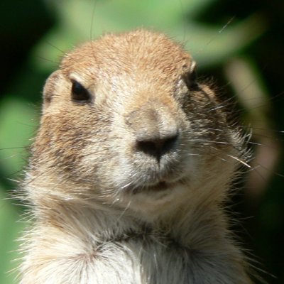 heshimura's profile picture. 