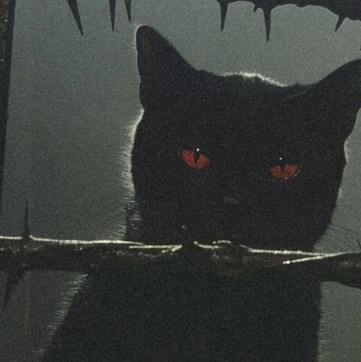 CJCRMSN's profile picture. Professional Wrestler | booking inquiries- coltcrimsonbooking@gmail.com