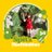 jadore_spitz's profile image