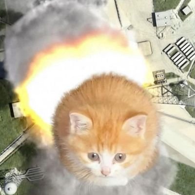 BaoBui15733's profile picture. Skibidi