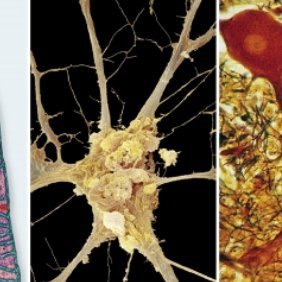 yns1BaoHFSZ's profile picture. 