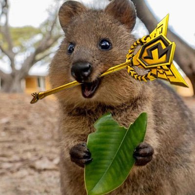 RqvaBKIV1C20343's profile picture.