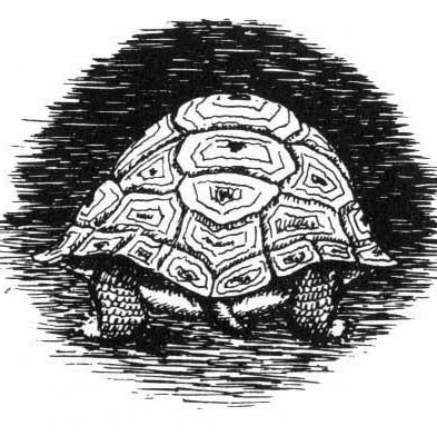 el_tlacaelel's profile picture. Nada de lo humano me es ajeno ||  
Comunista || Marxista-Leninista || FA  ≈VII  UNAM 
📐👷🏽‍♂️