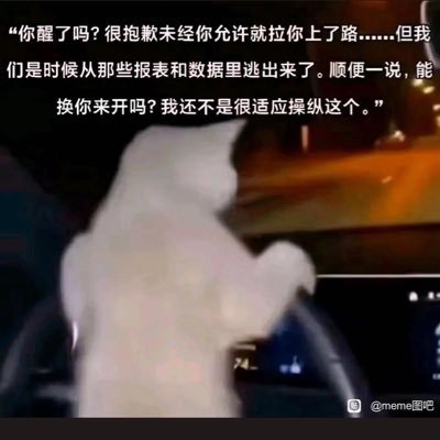 微信打狗人/曾抓过多个百倍币底部/满口胡话,只会说却什么都做不到/2025暴富/永不玩Sol想永远待在BNB里