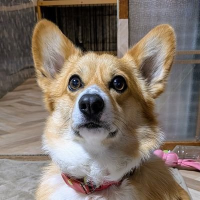 †┏┛高沢┗┓†さんのプロフィール画像