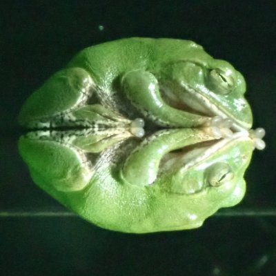 Moojo_ACOD's profile picture. 生育環境：自己愛性パーソナリティ障害の父、父を溺愛するアルコール中毒の祖母、カサンドラな母、年の離れた弟
近況：泥沼熟年離婚の末に父親は愛人と再婚。年々天然化が進む母と同居中
自分の感情を書き出すと、メンタルが強くなり、ストレスが大幅に減少するというので、綴ります。