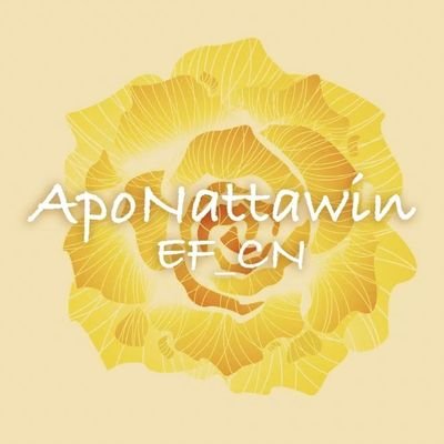 ApoNattawin Eternal Follower是支持Apo的中国散粉站 (非官方).只为Apo的数据(不集资无微博 ), Only for Apo in Twitter and Ins, no Weibo.
