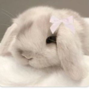 weqllyy7's profile picture. 