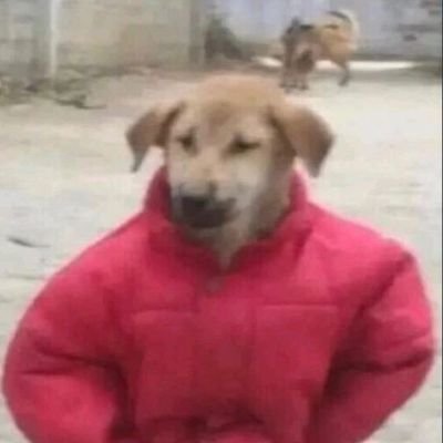 law/literature/football/cars/bikes ||
contemplating the existence of this account