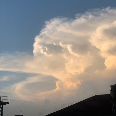 MikaelAdedeji's profile picture. AVOCAT⚖️ music is for the soul,🎶Chelsea💙