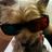 clau10sc's profile image
