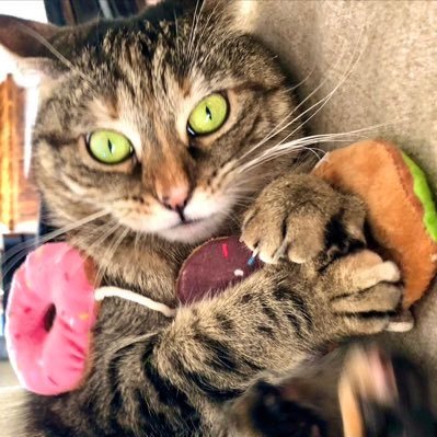 Gervais512's profile picture. Comedy God 🌹