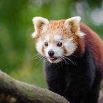 wnzuw77729375's profile picture. 💉20代男性看護師👨‍⚕️セミリタイア＆資産運用を学ぶ📊投資初心者💰和歌山で学びの場を作りたい📚和歌山県民フォローしてね✨