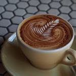 zfqqd53737985's profile picture. 毎日とにかくお弁当を作って持っていく女子です。結婚したらいい妻になる！ボルダリング女子の日常垢。｜相互フォロー◎｜無言フォロー失礼します｜フォロバよろしくです｜友達感覚でおしゃべりできる人と繋がれたら嬉しいです。仲良くしましょうね