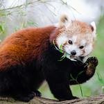 bulvj94992363's profile picture. Airplane、Twitter、YouTube好き｜現在、パイロットライセンス取得中
自費で高校→大学→上場企業勤務後、結婚→離婚→USAへ渡米
2018年に永住権を取得し、現在は会社経営中
日本を出てまだ浅いため、素直な意見をつぶやきます
「成功経験は害、先入観は罪」海外生活から学ぶこと多し