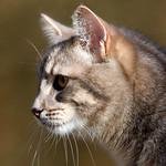 jmpzl29498797's profile picture. ブログ＆マーケティングで安定収入を達成｜好きなことで稼ぐ生活を目指す✈️