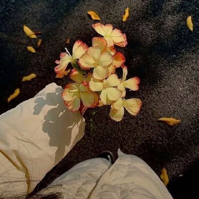 Booktrovert__23's profile picture. میں ہر کسی کو اچھی نہیں لگتی اور مجھے میری یہی خوبی پسند ہے 🌼