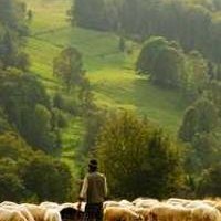 DreamyVibe4's profile picture. 