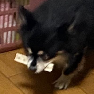 白石さんのプロフィール画像