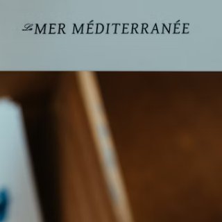 tarogh12's profile picture. 