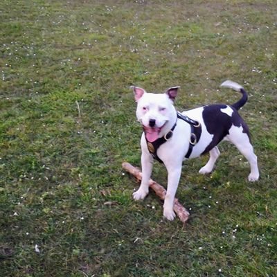 GavinHuyto77's profile picture. 