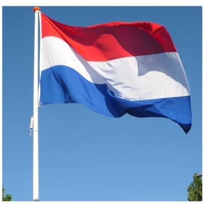 MarcoRibbink's profile picture. 