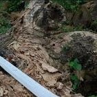 enrcoo's profile picture. @enclaviumfnf