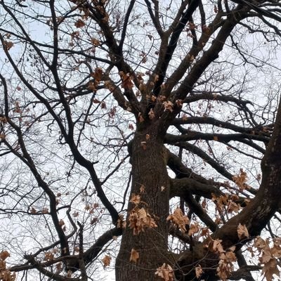 08_Designs's profile picture. Designing and Learning.