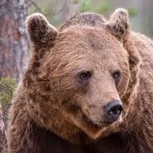 CVideo56864's profile picture. 