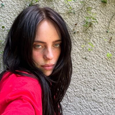 #snk eren's alive, mikasa told me | billie 140625 & skz 220725 ૮ ྀི˃̵ ࿁ ˂̵ 𑁬