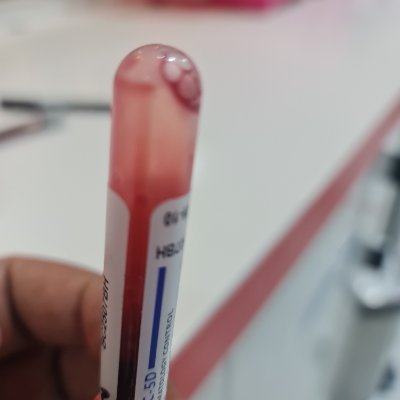 BasherAlii's profile picture. سوداني و افتخر