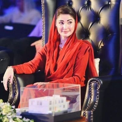 پاکستان میں گنتی کے ہی سیاستدان پیدا ہوئے۔و اشرافیہ جوڈیشری فوج اور بیوروکریسی کو اچھے نہیں لگے۔یہیں وجہ ہے کہ پاکستان میں سیاست اور جمہوریت پروان نہ چڑھ سکی۔