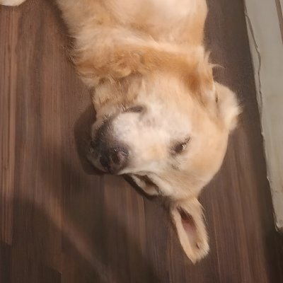 catatonic_onX's profile picture. 17, Battle Rap Rookie 🌱 #CROWDSHYT