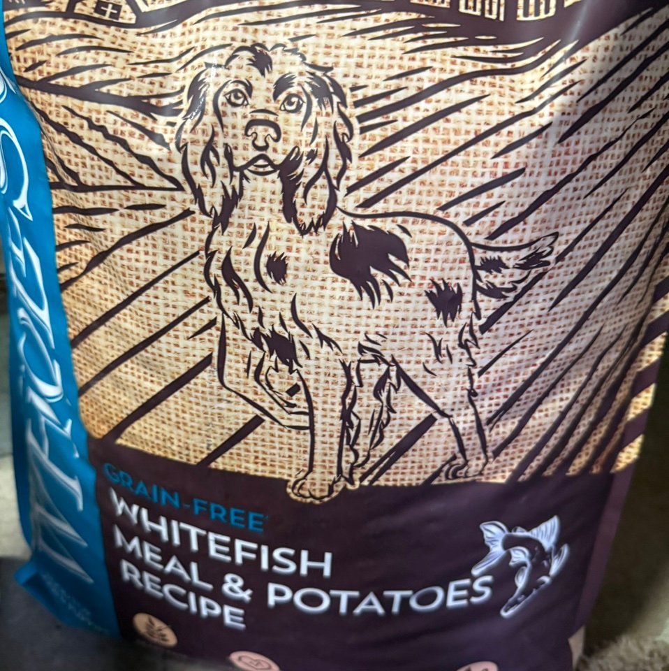 StanleyMagsk's profile picture. 