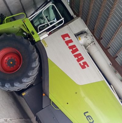 Helga77781's profile picture. 