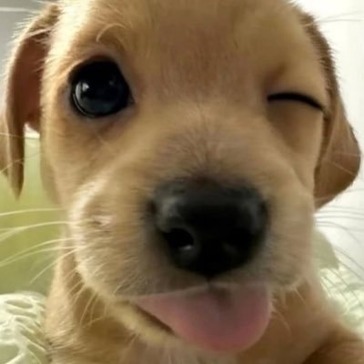 clothesshop09's profile picture. 