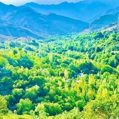 qadeer2511's profile picture.