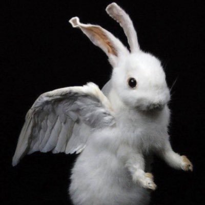 nadachleb's profile picture. wszystko i ja jesteśmy absurdalną ciszą 吐痛