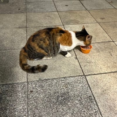 Bu4hlnMTnA40987's profile picture. 