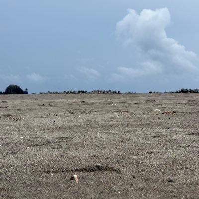 silette25's profile picture. もうさ.....己の全てを曝け出そうと思うんだ。だって男だから