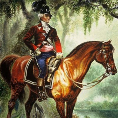 Supporter of freedom and liberty. ✝️ 🇺🇸🏴 🐊 #AmericaFirst #DeSantisConservative