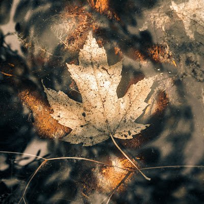 aaron_calpito's profile picture. 